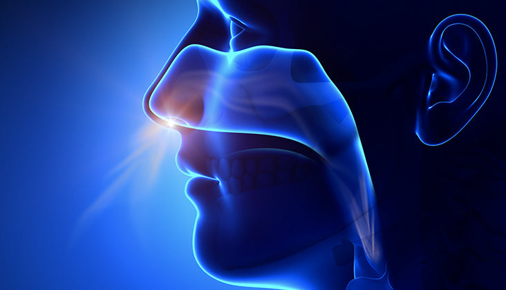Why you should always breathe through the nose