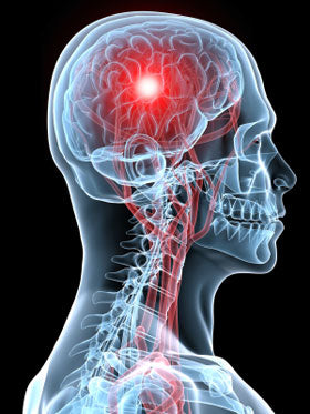 How does using a jaw exerciser increase blood flow and oxygen levels to the head and brain